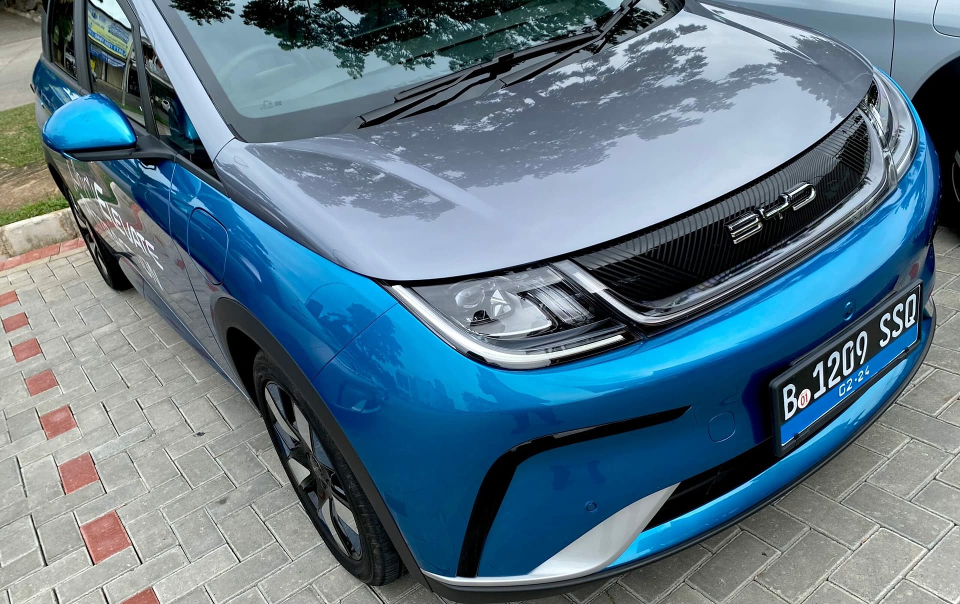 BYD Dolphin